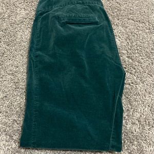 LOFT Velvet Pants
